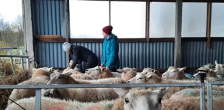 Kutseeksamid 2024. aasta juunis