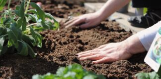 Energiakriis võib kahanevale aiandustootmisele anda uue hoobi