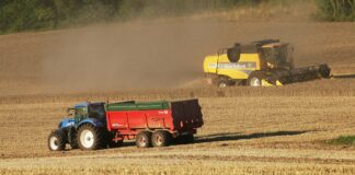 Suvekuumus kahandas põllumajanduskultuuride saagikust
