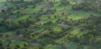 Riik pakub põllumeestele niitmiseks maid