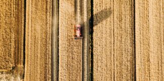 Otsetoetuste baasnõuete mõju põllumajandusettevõtetele