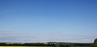 Küsimustik: Ukrainlaste töötamise ja majutamise võimalused põllumajandus- ja toidusektoris