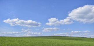 PRIA: oluline info käesoleva aasta pindalatoetuste taotlemisel