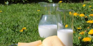 Saaremaa Piimatööstust asus juhtima kohalik ärimees