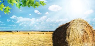 03.04.2023 EPKK infopäev „Kliimapoliitika kokkulepped ja mõju põllumajandusele“