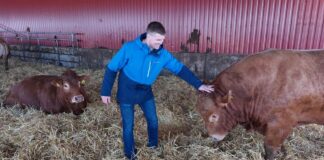 Lihaveisekasvatajad loodavad, et liha hind püsib