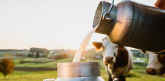 Hindade langus toob sektorisse suured kahjumid