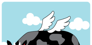 Andre Farmi digikari ootab investoreid