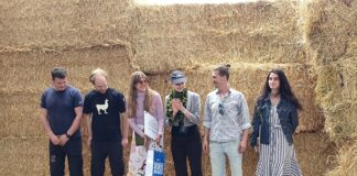 Põhust valmivad modernsed majad