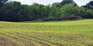 PTA: Taimekaitsevahendite kasutamisel tegutse targalt