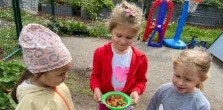 Lasteaialapsed korjavad esimest maasikasaaki