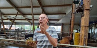 Nopri talu: piimast kvaliteetse toote saamine eeldab pidevat hoolt ja tööd