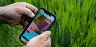 05.10.2022 EPKK infopäev „Täppisviljelus ja digilahendused taimekasvatuses – tark väetamine“