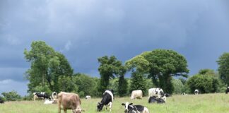 PRIA kinnitas 2022. aasta otsetoetuste ühikumäärad