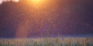 Maaeluministeeriumis toimus Partnerite päev