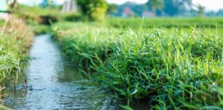 25.04.2023 EPKK infopäev „Veekaitse vajadused ja kohustused: põllumajanduse ohud ja võimalused “