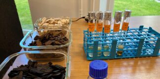 Biosüsteemide inseneeria konverentsil tutvustatakse uusi tehnoloogiaid