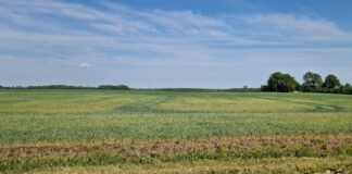 Mahesööda varujad said veidi leevendust