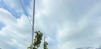 Norra siidritootjad inspireerivad maaturismi arendajaid