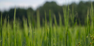 02.10.23 Turvasmuldadel majandamine ning maaparandussüsteemid keskkonna- ja kliimaeesmärkide kontekstis