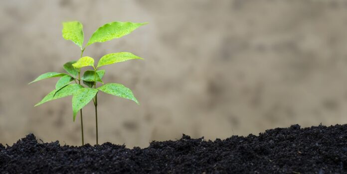 Maheturg Allikas: Pixabay