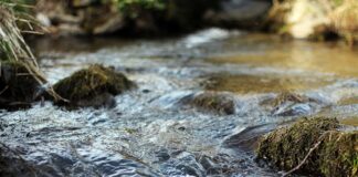 02.11.23 Infopäev “Veekaitse vajadused ja kohustused”