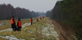 Mida maaomanik jahipidamisest ja jahipiirkondadest teadma peab?