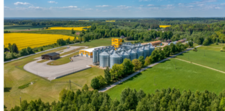 Kuula saadet: ühistegevus Eestis võiks olla veelgi aktiivsem