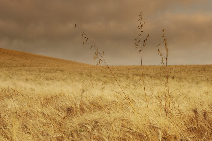 Teravili tuulekaeraga_Visualhunt_paolofefe