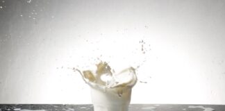 11.04.2024 konverents “Piimafoorum 2024” Pildi allikas: Pixabay