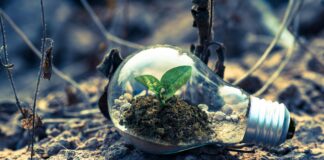 26.03.2024 infopäev “Uued riigipoolsed lahendused” Pildi allikas: Pexels