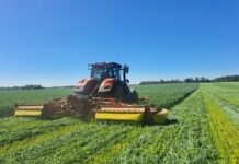 EPKK korraldab põneva niidutehnika demopäeva