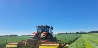 EPKK korraldab põneva niidutehnika demopäeva