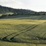 16.05.2025 infopäev koos põldude külastusega: taastava põllumajanduse rakendamine Pildi allikas: Pixabay