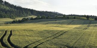 16.05.2025 infopäev koos põldude külastusega: taastava põllumajanduse rakendamine Pildi allikas: Pixabay