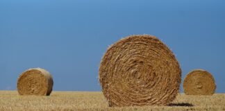 27.05.2024 niidutehnika demopäev “Kestlik silotootmine”