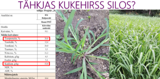 „Sustainable Silage / Kestlik silootmine“ projekti mini-katse Rauni PMÜ farmis