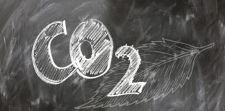 18.09.2024 infopäev veebis “Süsinikpõllunduse kaubandus – riskid ja võimalused põllumajandustootjale” Pildi allkas: Pixabay