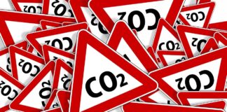 17.09.2024 infopäev veebis “Süsiniku sidumine” Pildi allikas: Pixabay