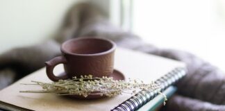 Kutseeksamid oktoobris 2024