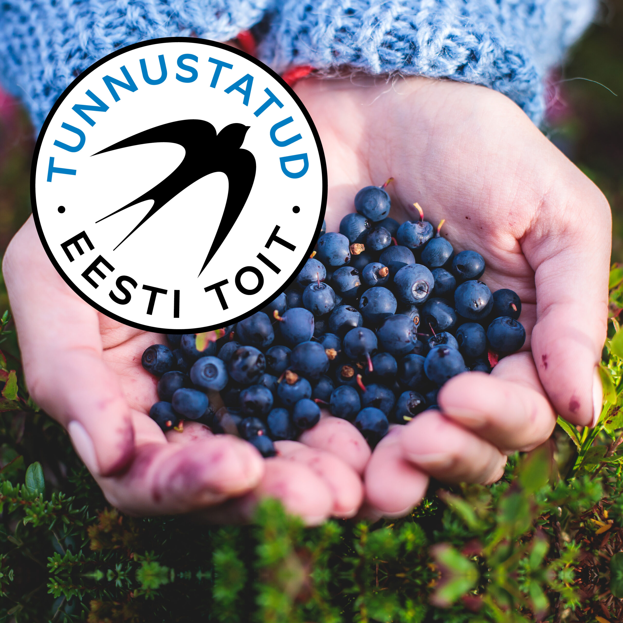 tunnustatud_eesti-_toit_ruut9-scaled