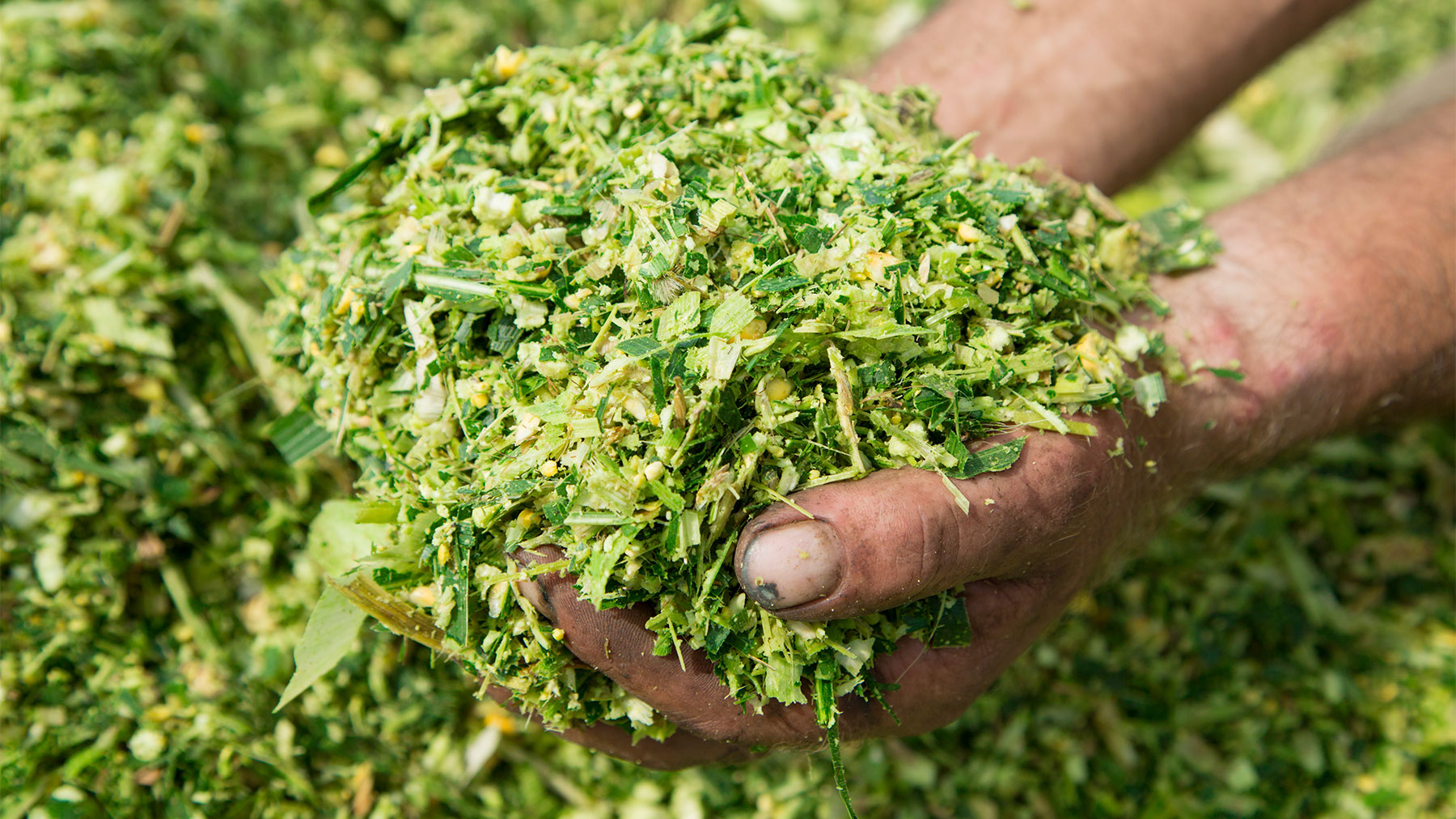 1127M-3721A-1800x1012