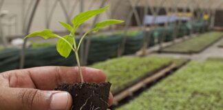 Kutseeksamid veebruaris 2025