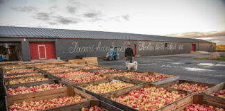 Kojaga liitus Jaanihanso Siidrivabrik
