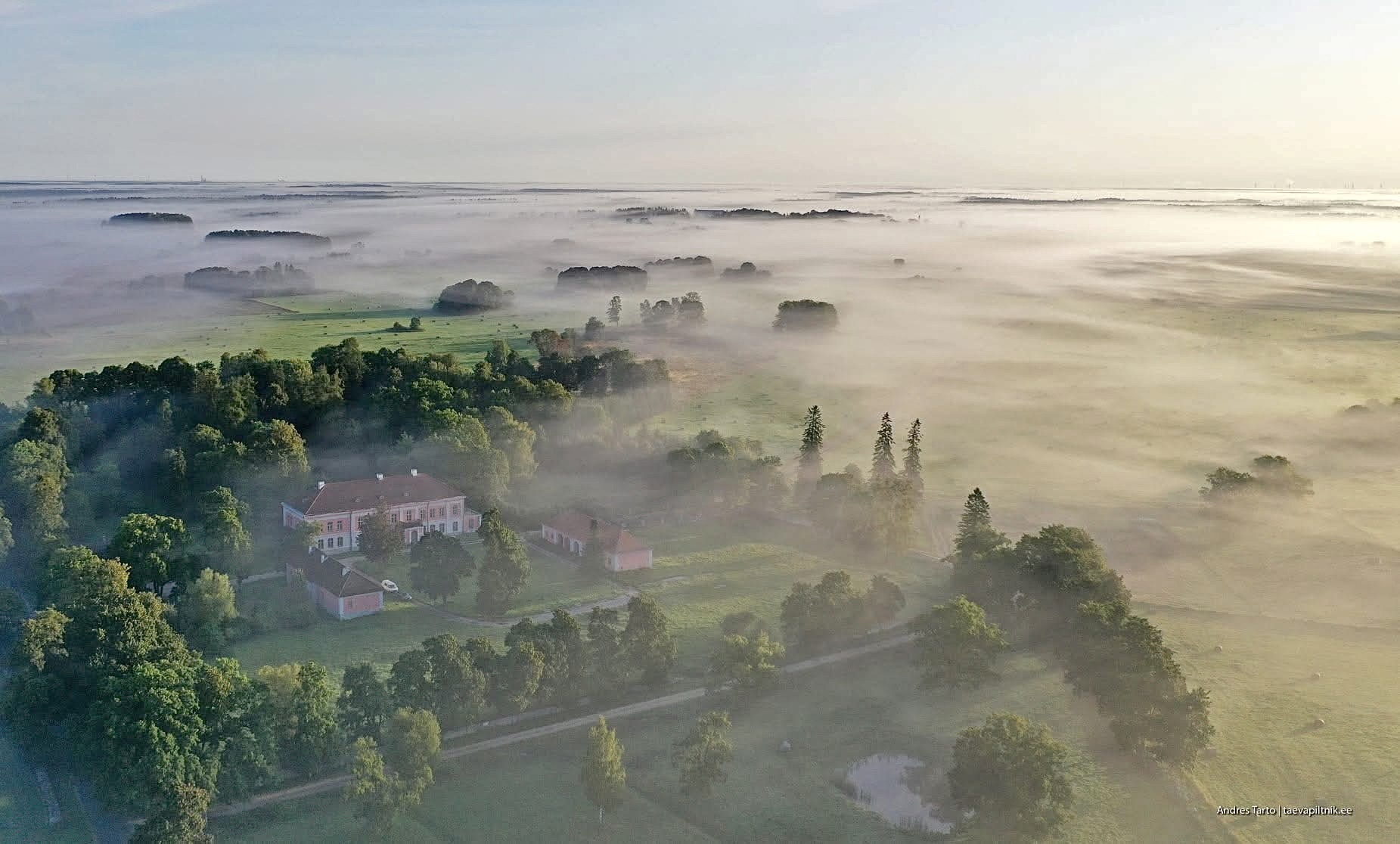 492828432_1254854059973793_5929465492887790581_n