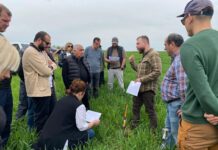 Põllumajanduse tulevik Gruusias: kuidas Eesti teadmised toetavad Gruusia farmide arengu