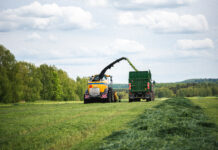 28.07.2025 Infopäev koos põllukülastustega: „Elurikkus põllul – Soone Farm“