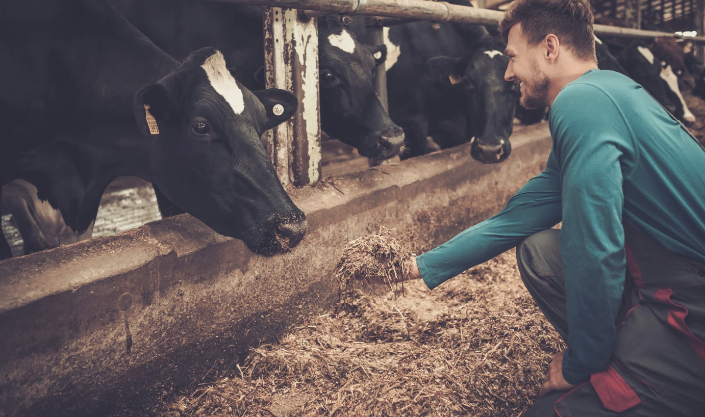 Screenshot 2025-07-18 at 12.19.38