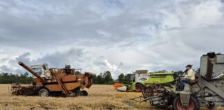 Põllumajandus on võlu ja valu: Hiiumaa Põllupäev 2025 tõi kokku tehnika, teadmised ja tulevikuvaated