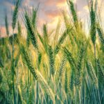 03.09.25 Keskkonna- ja kliimaeesmärke tutvustav infopäev